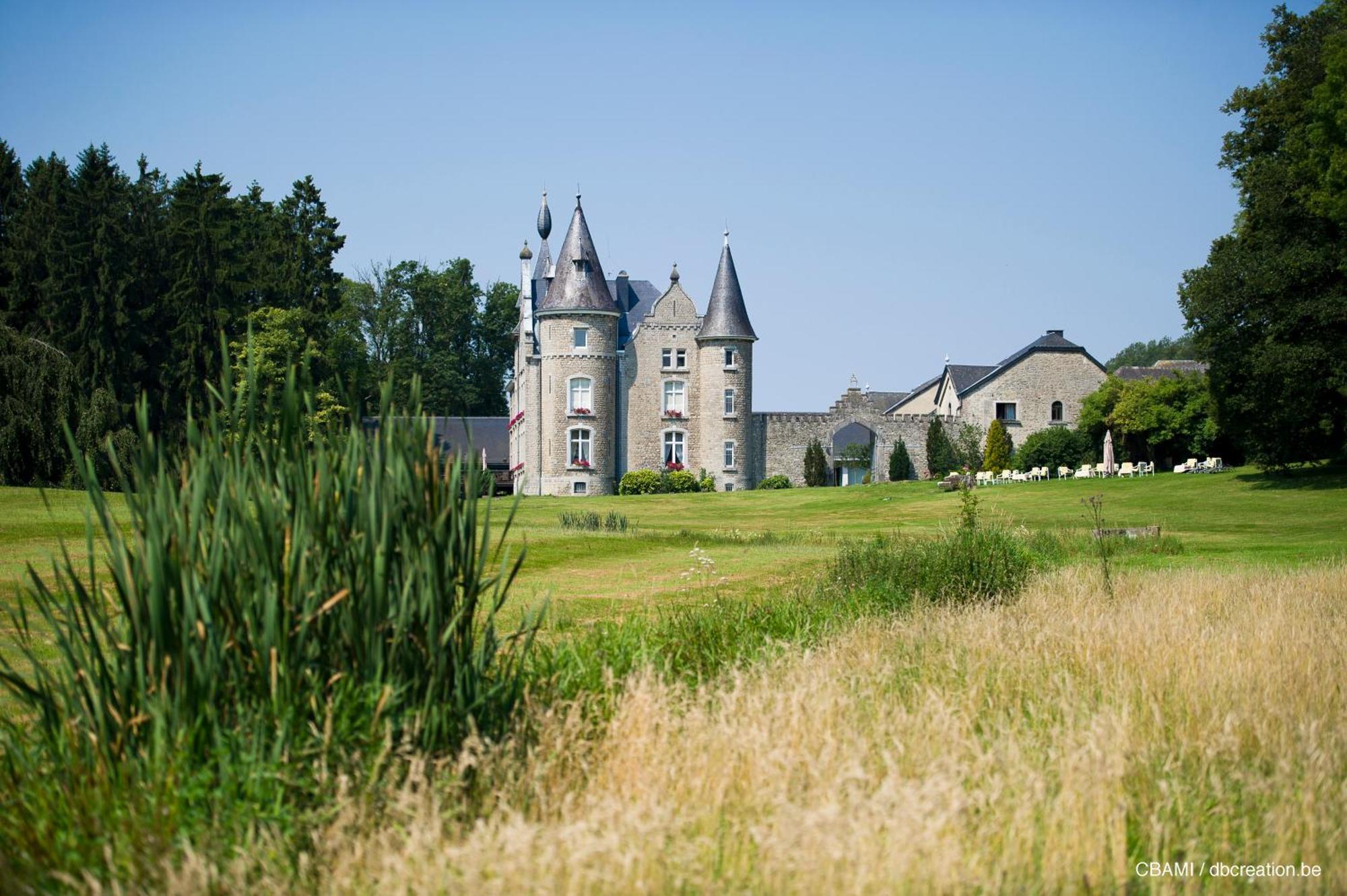 Chateau D'Hassonville Aye Εξωτερικό φωτογραφία