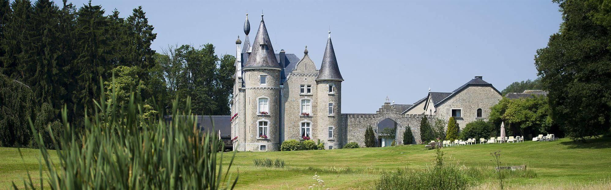 Chateau D'Hassonville Aye Εξωτερικό φωτογραφία